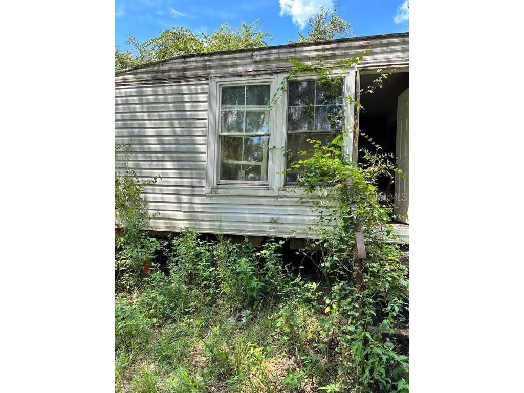 14525 NE 213th Lane Fort Mc Coy FL 32134 S5138452 image4