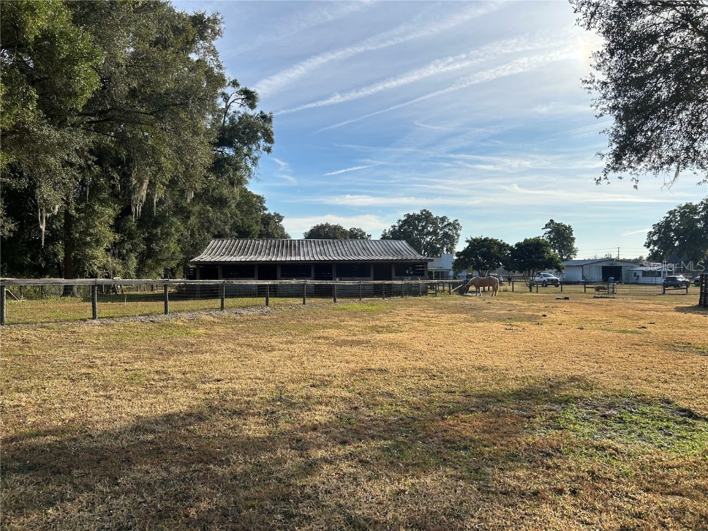 14525 NW Highway 464b Morriston FL 32668 OM713810 image10