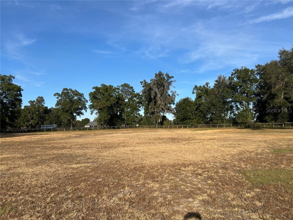 14525 NW Highway 464b Morriston FL 32668 OM713810 image15