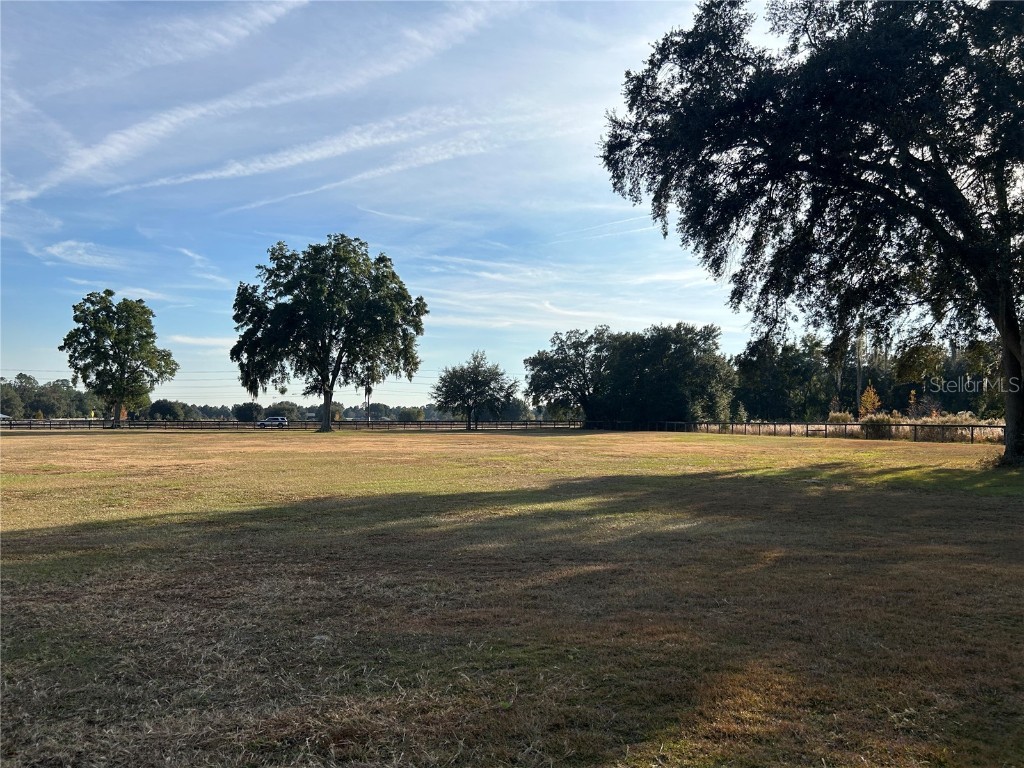 14525 NW Highway 464b Morriston FL 32668 OM713810 image17