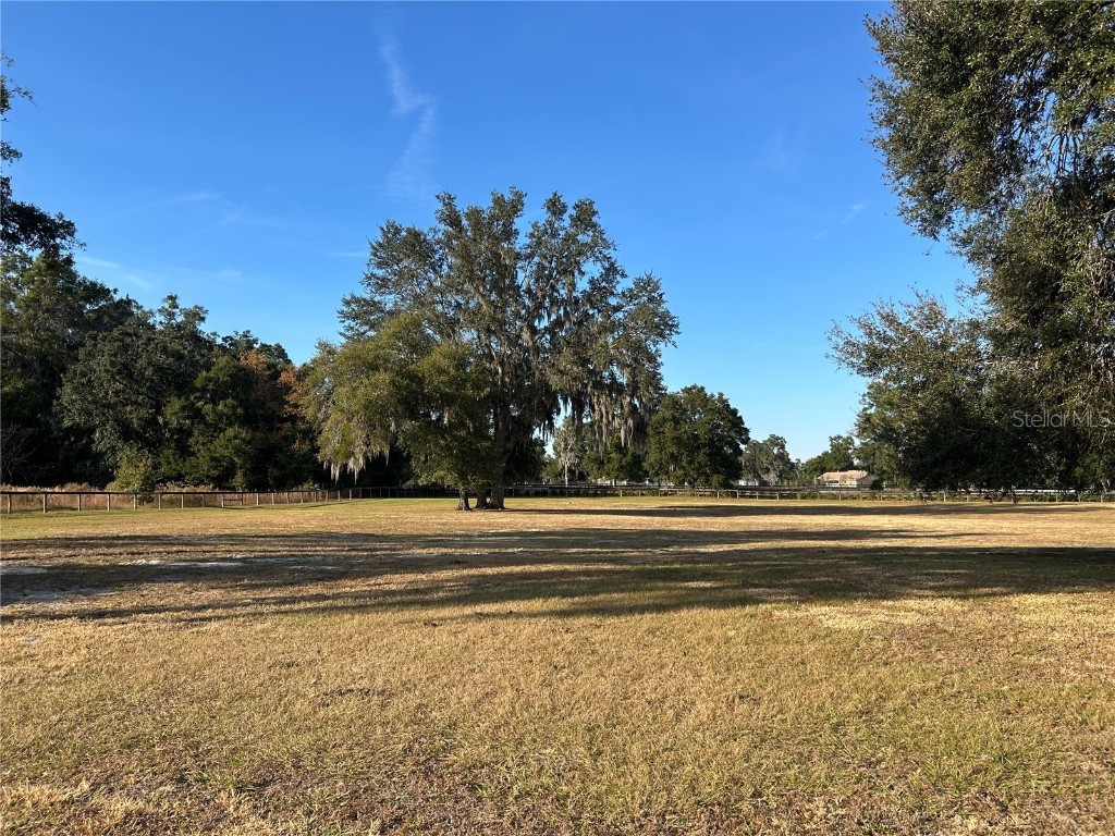 14525 NW Highway 464b Morriston FL 32668 OM713810 image25