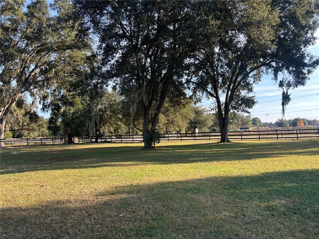 14525 NW Highway 464b Morriston FL 32668 OM713810 image28