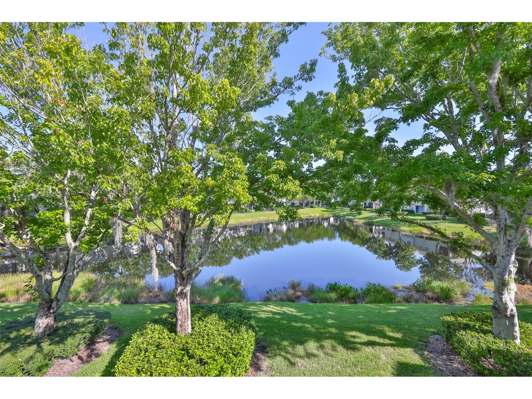 14526 Mirabelle Vista Circle Tampa FL 33626 TB8523608 image38