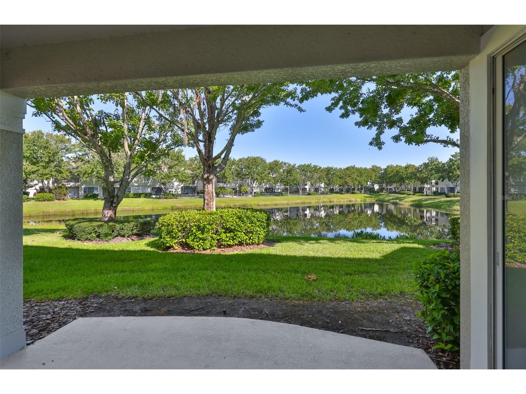 14526 Mirabelle Vista Circle Tampa FL 33626 TB8523608 image39