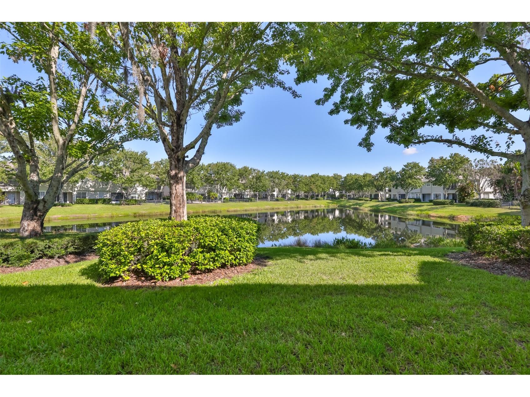 14526 Mirabelle Vista Circle Tampa FL 33626 TB8523608 image41