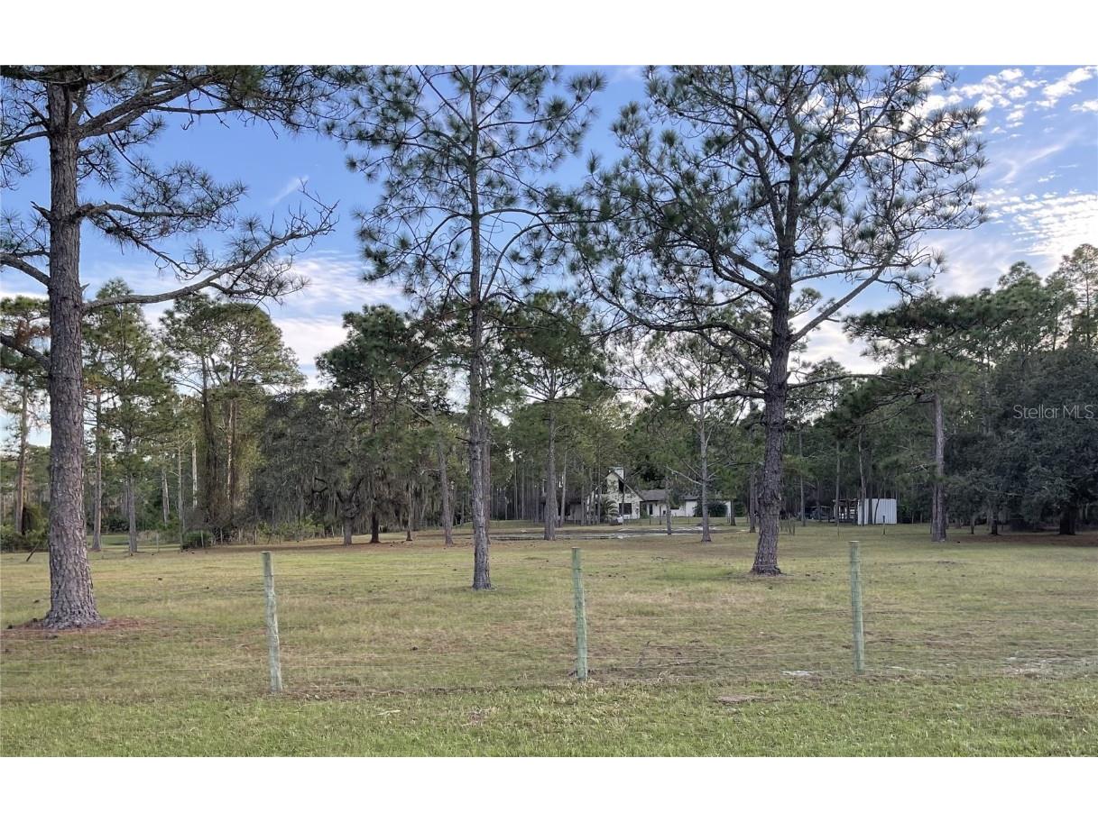 14528 Roxane Drive Orlando FL 32832 O6161508 image1