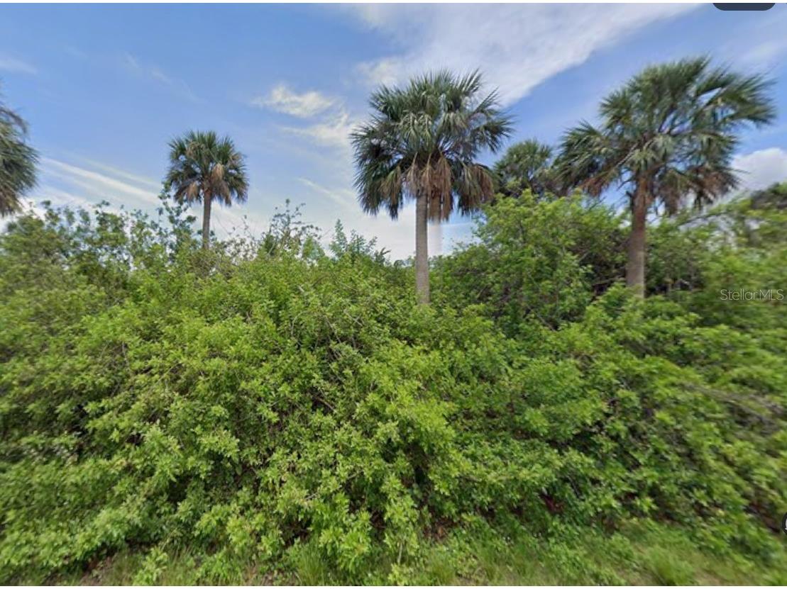14529 Mcmillin Avenue Port Charlotte FL 33953 D6146950 image1