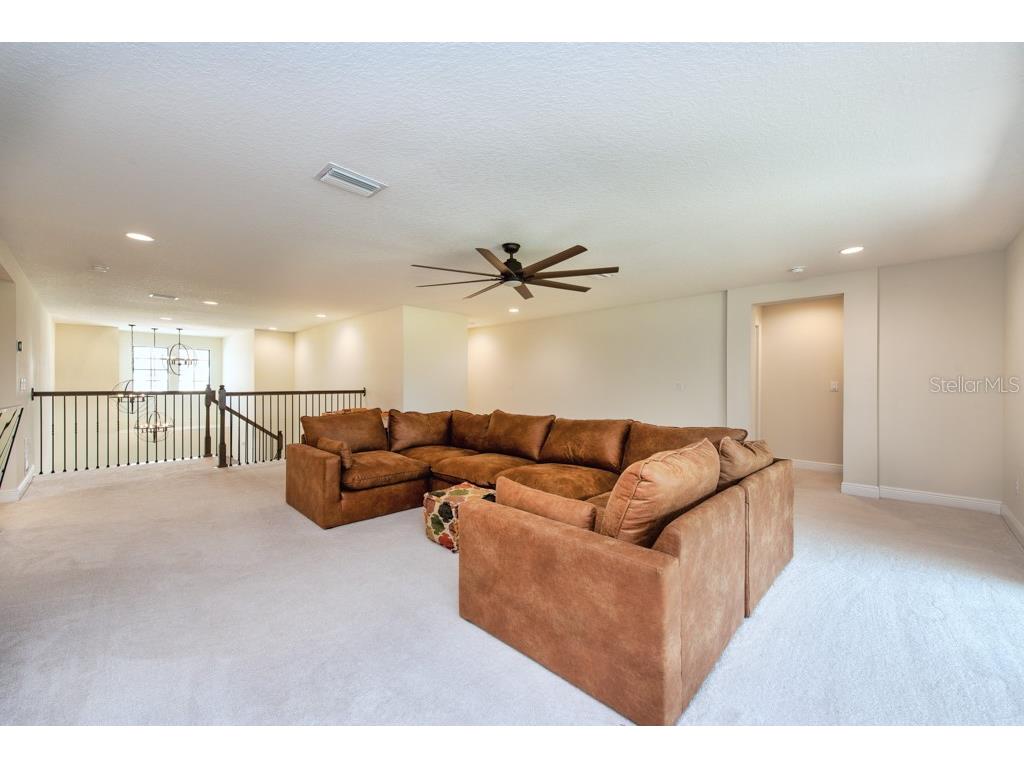 14529 Woodland Spur Drive Lithia FL 33547 TB8418271 image17