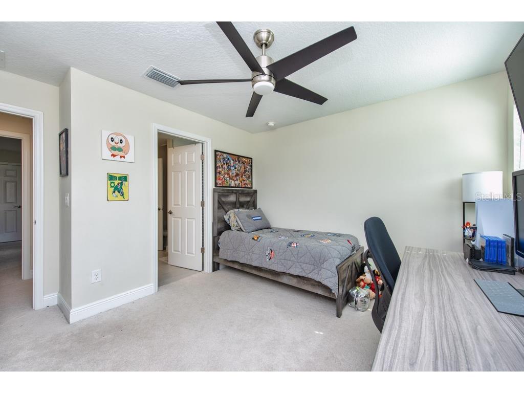 14529 Woodland Spur Drive Lithia FL 33547 TB8418271 image26