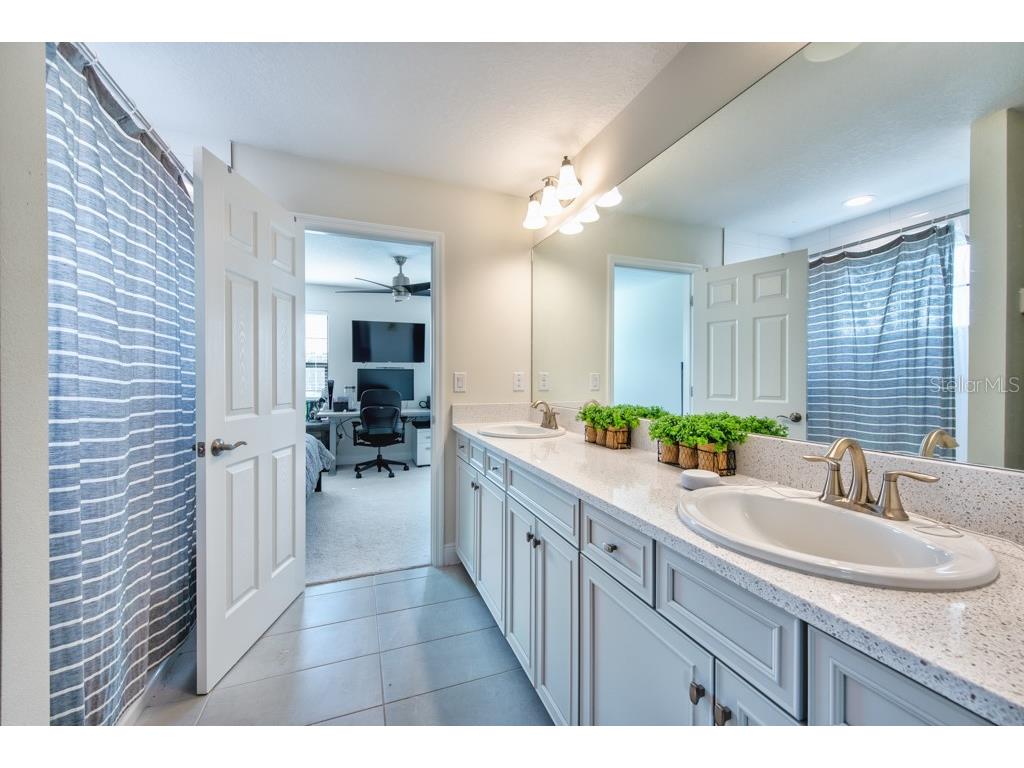 14529 Woodland Spur Drive Lithia FL 33547 TB8418271 image27