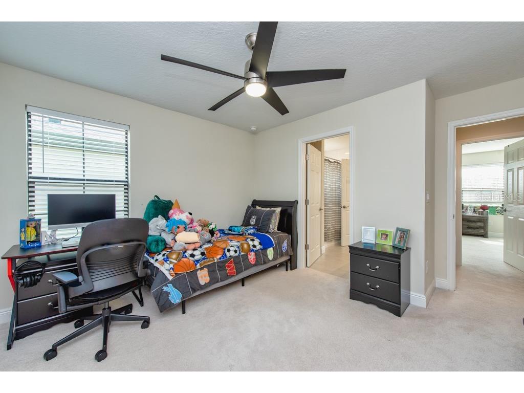 14529 Woodland Spur Drive Lithia FL 33547 TB8418271 image29