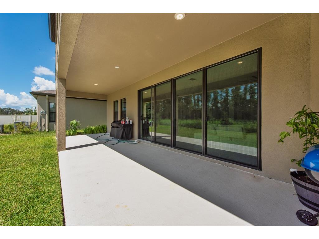 14529 Woodland Spur Drive Lithia FL 33547 TB8418271 image35