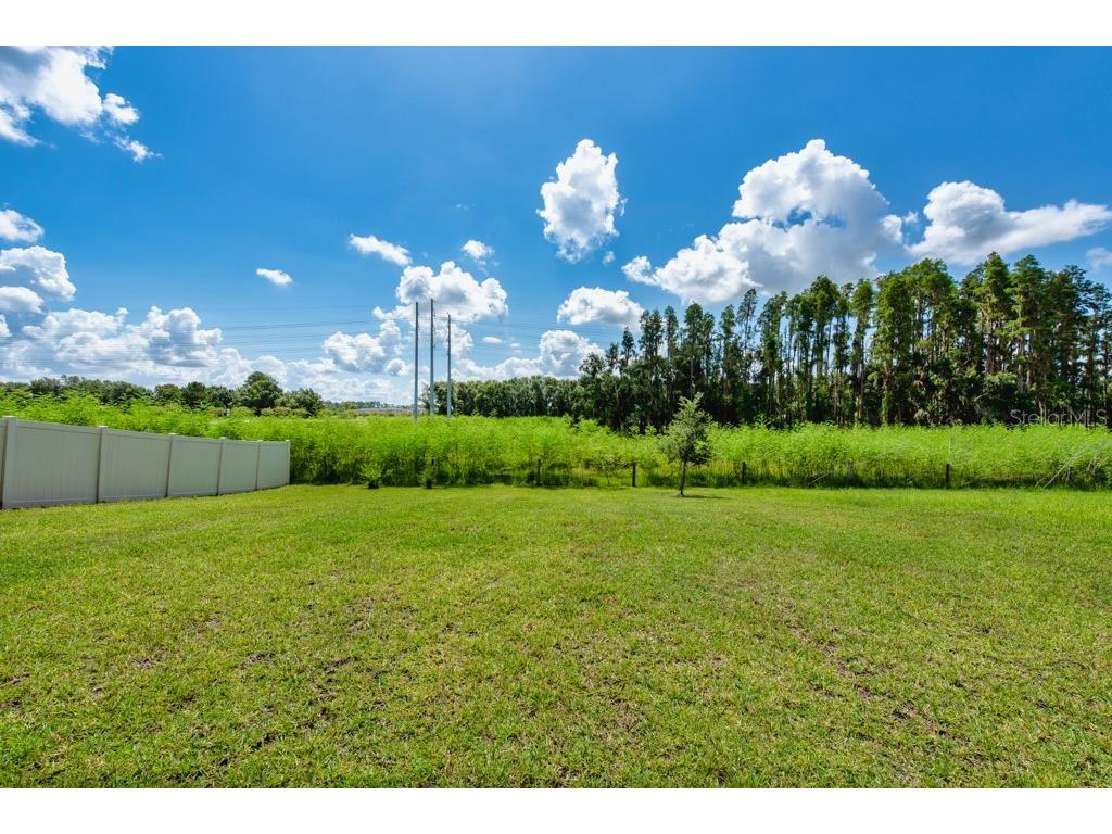 14529 Woodland Spur Drive Lithia FL 33547 TB8418271 image36