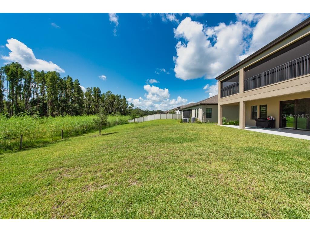 14529 Woodland Spur Drive Lithia FL 33547 TB8418271 image37