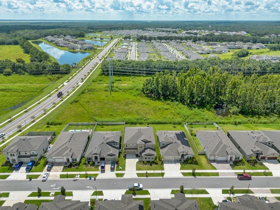 14529 Woodland Spur Drive Lithia FL 33547 TB8418271 image43