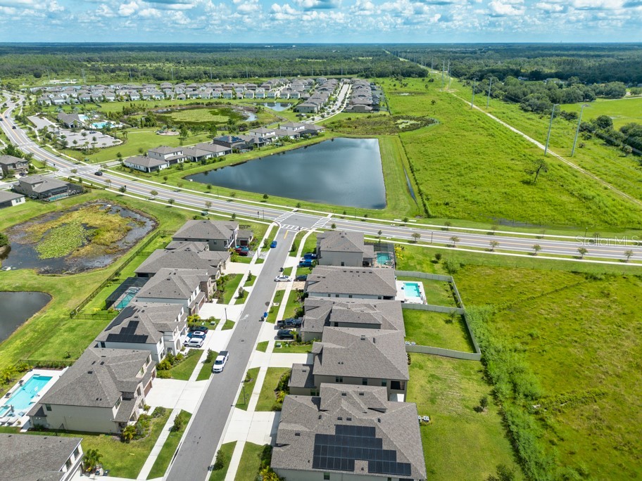 14529 Woodland Spur Drive Lithia FL 33547 TB8418271 image44