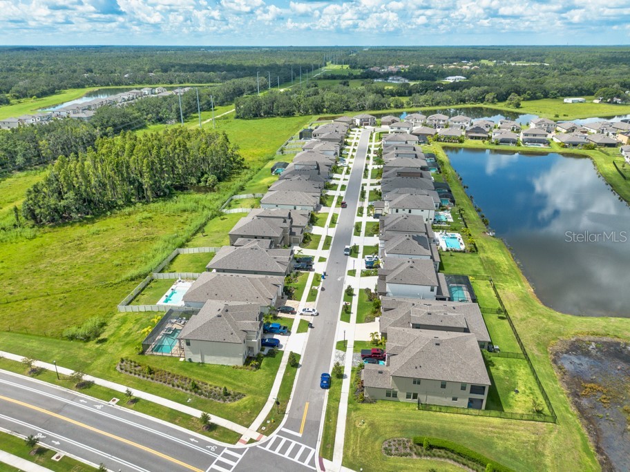 14529 Woodland Spur Drive Lithia FL 33547 TB8418271 image46