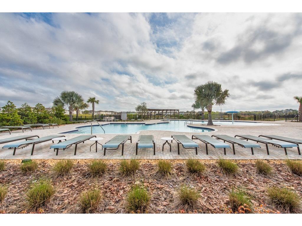 14529 Woodland Spur Drive Lithia FL 33547 TB8418271 image51