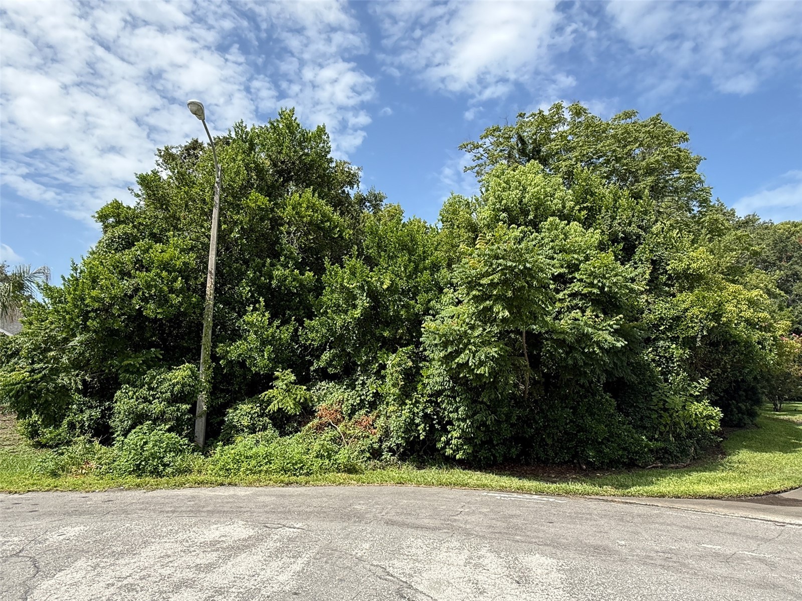 1453 Brigadier Drive Spring Hill FL 34608 W7887622 image1