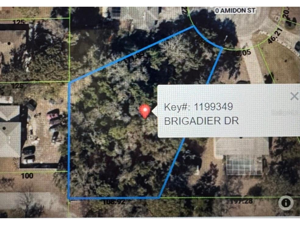 1453 Brigadier Drive Spring Hill FL 34608 W7887622 image3