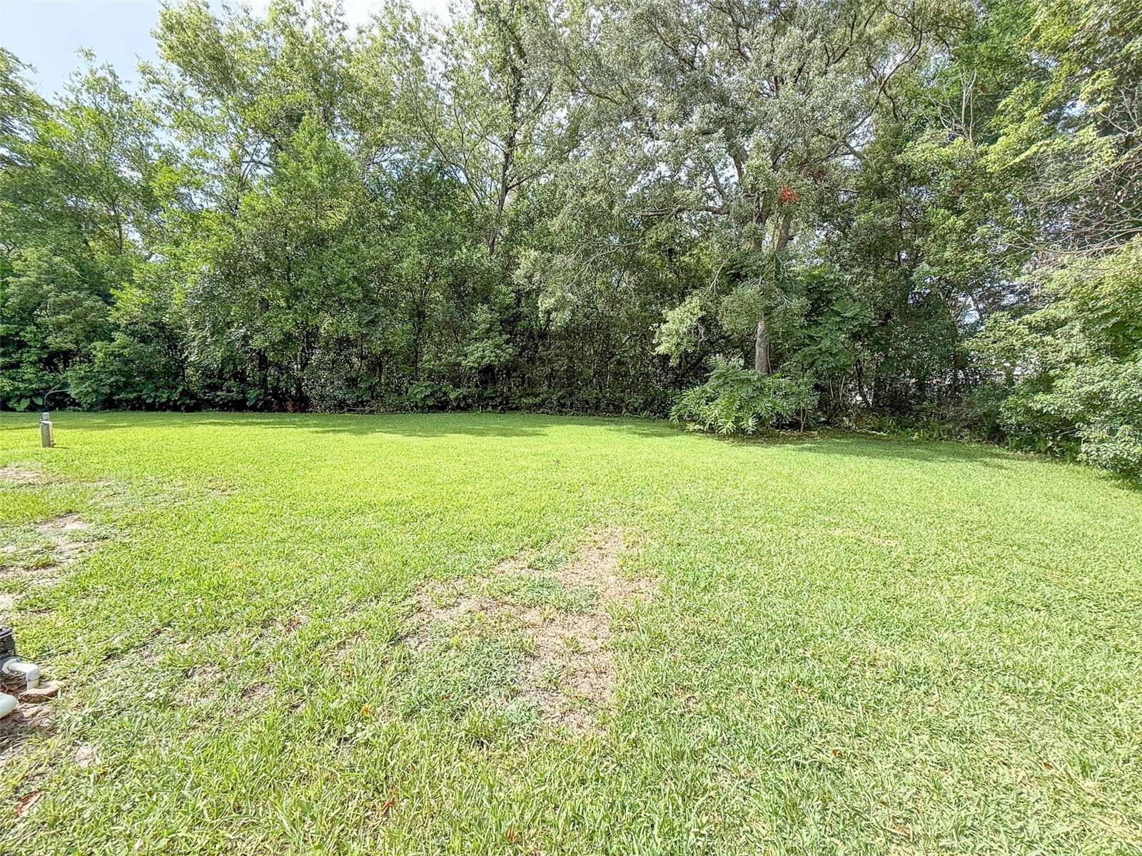 1453 Brigadier Drive Spring Hill FL 34608 W7887622 image4