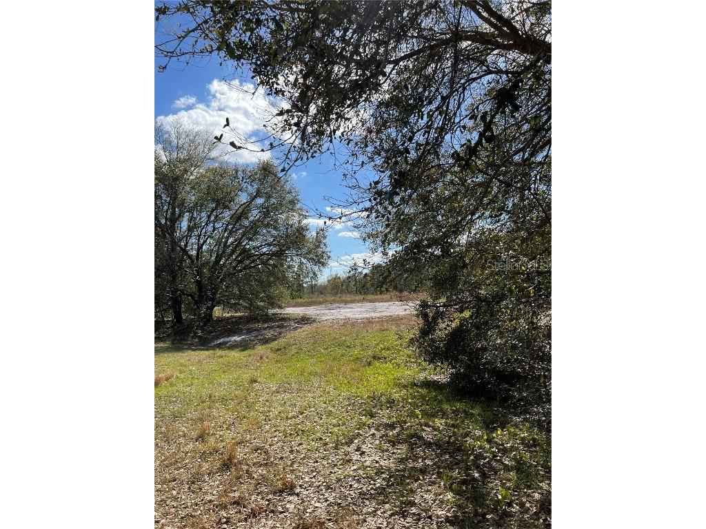 1453 S Jurgenson Road Avon Park FL 33825 U8192422 image1