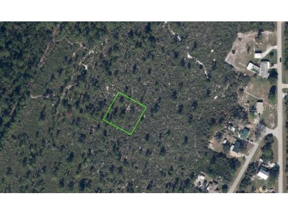 1453 Taft Avenue Lake Placid FL 33852 P4935544 image2