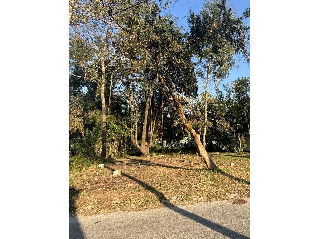 14530 6th Street, Dade City, FL, 33523 MLS TB8311801 Edina Realty