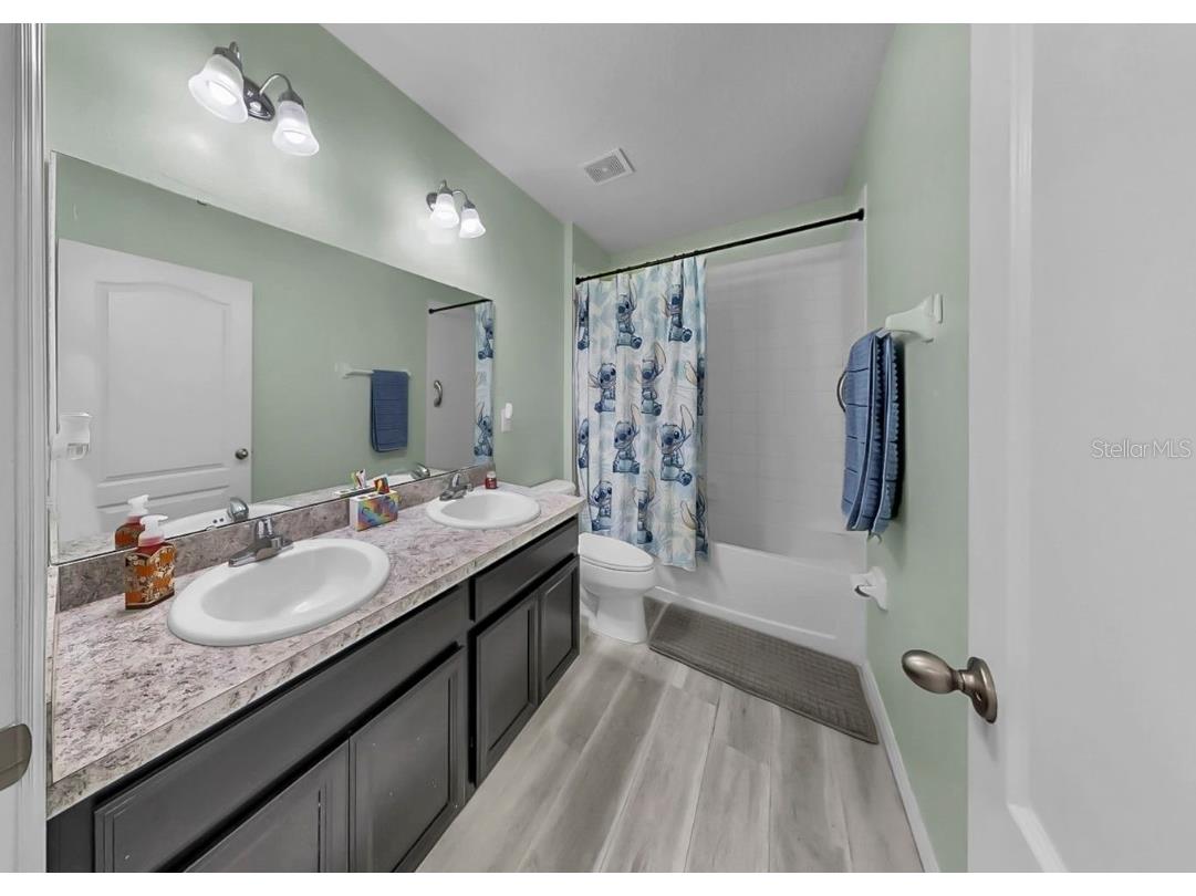 14530 Haddon Mist Drive Wimauma FL 33598 TB8444994 image21