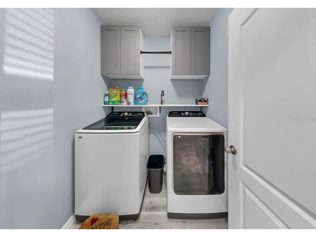 14530 Haddon Mist Drive Wimauma FL 33598 TB8444994 image23