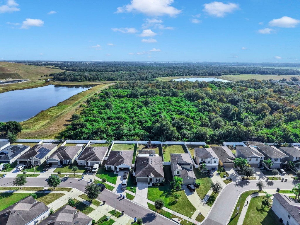 14530 Haddon Mist Drive Wimauma FL 33598 TB8444994 image41