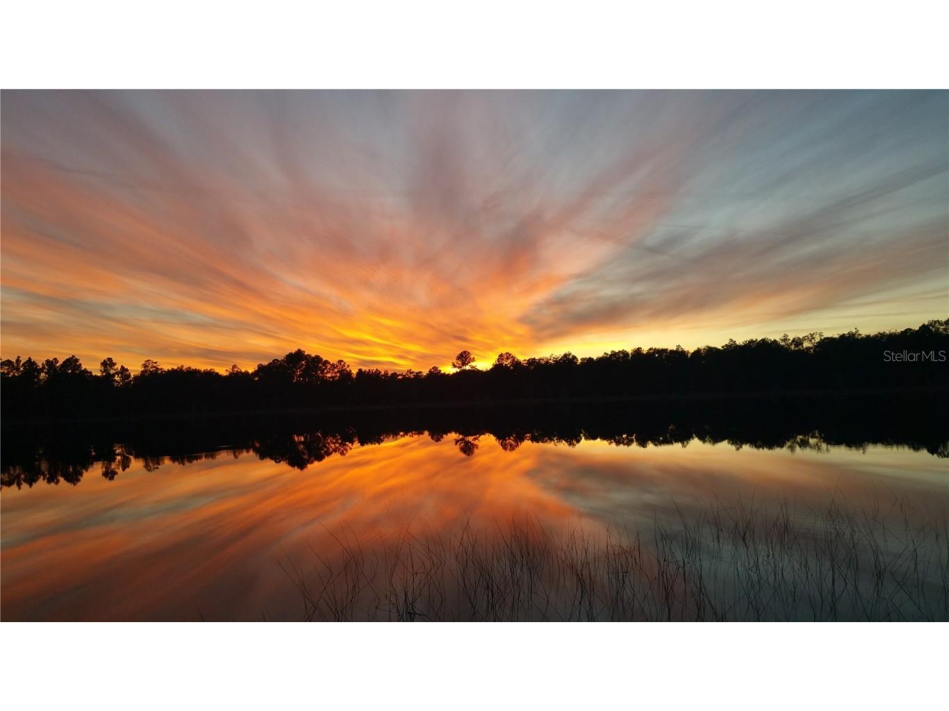 14530 SE 61st Street Road Ocklawaha FL 32179 OM644512 image1