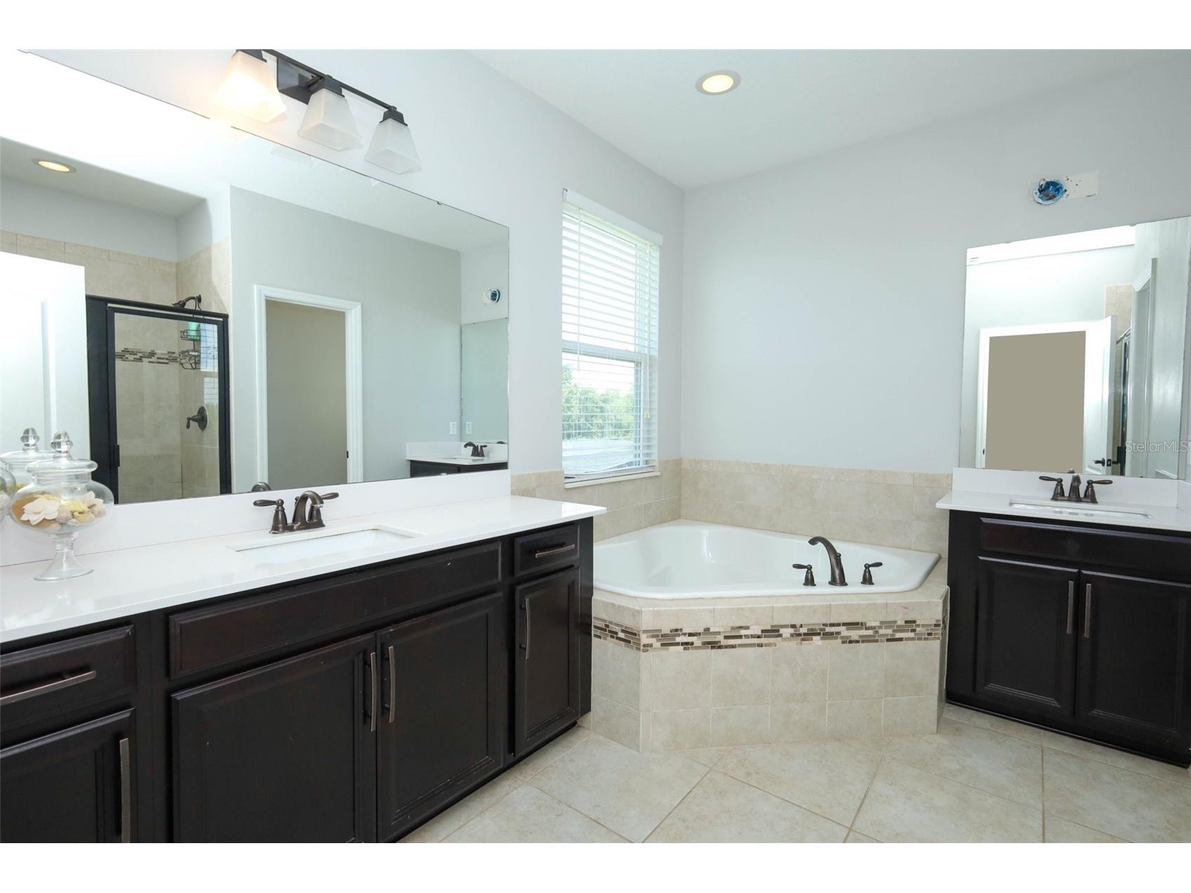 14531 Cedar Hill Drive Winter Garden FL 34787 O6408070 image30