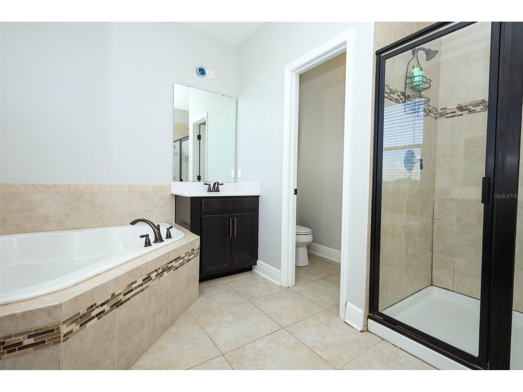14531 Cedar Hill Drive Winter Garden FL 34787 O6408070 image31