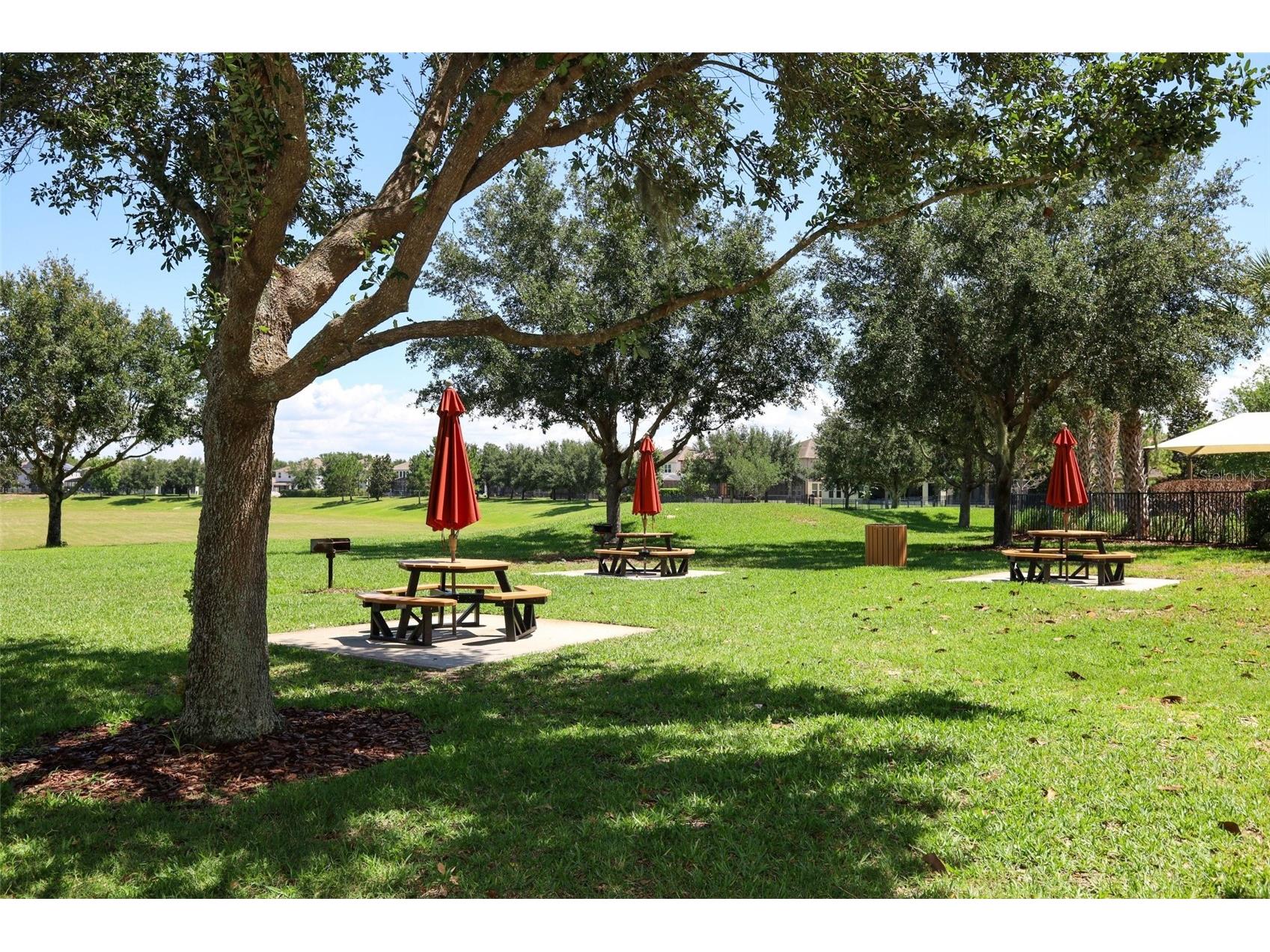 14531 Cedar Hill Drive Winter Garden FL 34787 O6408070 image49
