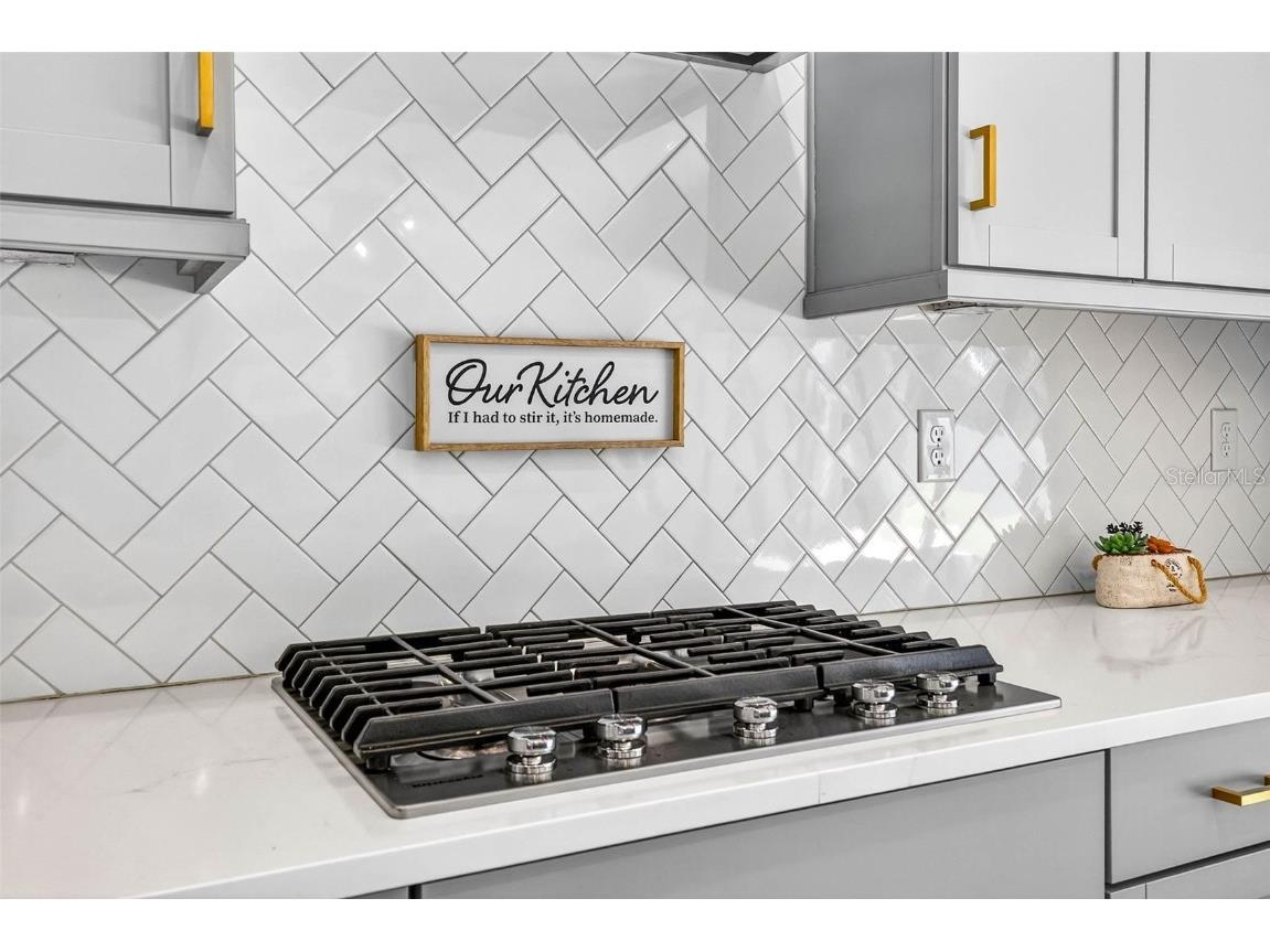 14531 Woodland Spur Drive Lithia FL 33547 TB8441906 image15