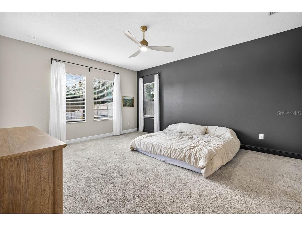 14531 Woodland Spur Drive Lithia FL 33547 TB8441906 image32