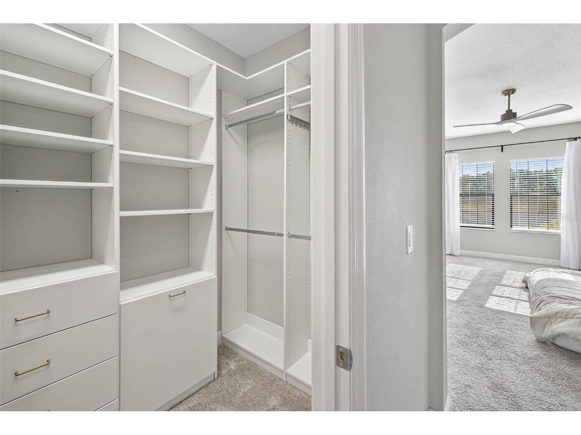 14531 Woodland Spur Drive Lithia FL 33547 TB8441906 image39