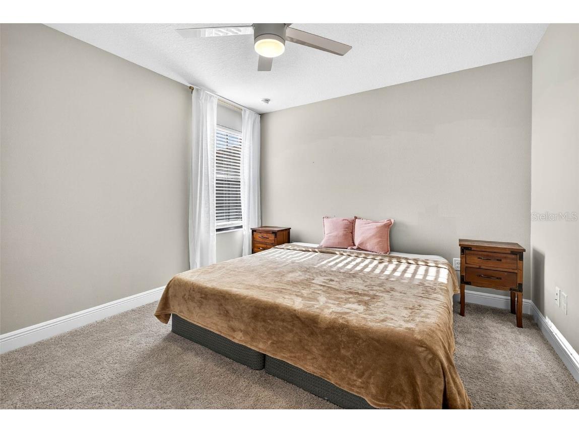 14531 Woodland Spur Drive Lithia FL 33547 TB8441906 image46