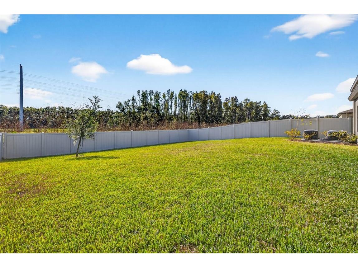 14531 Woodland Spur Drive Lithia FL 33547 TB8441906 image53