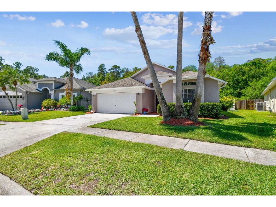 14532 Weeping Elm Drive Tampa FL 33626 U8237436 image1