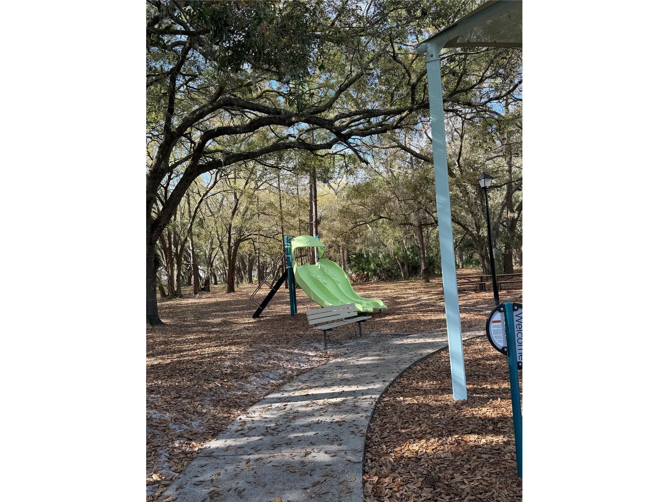 14535 Caplock Drive Orlando FL 32837 S5145327 image58