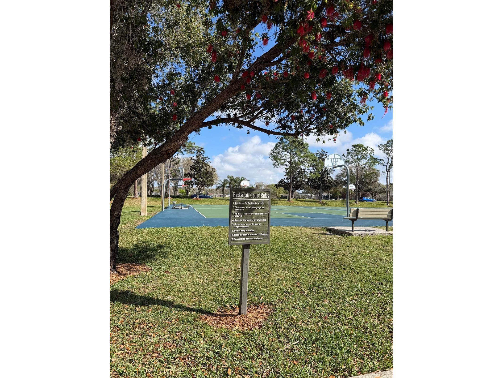 14535 Caplock Drive Orlando FL 32837 S5145327 image63