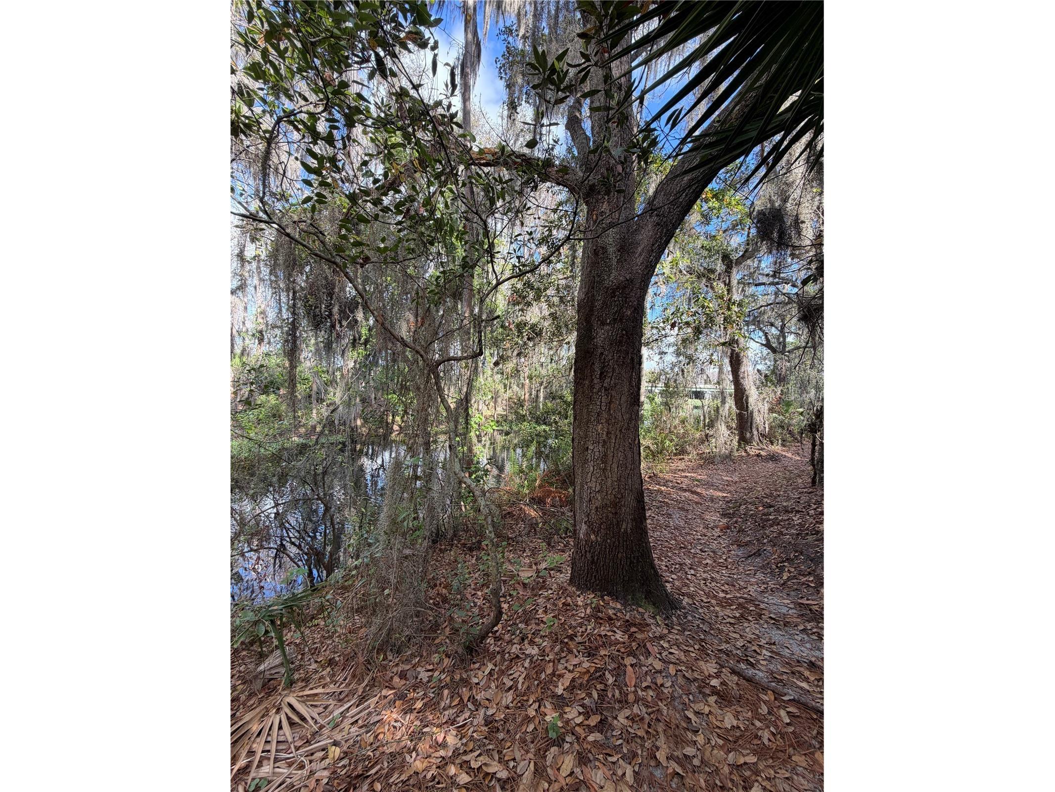 14535 Caplock Drive Orlando FL 32837 S5145327 image67