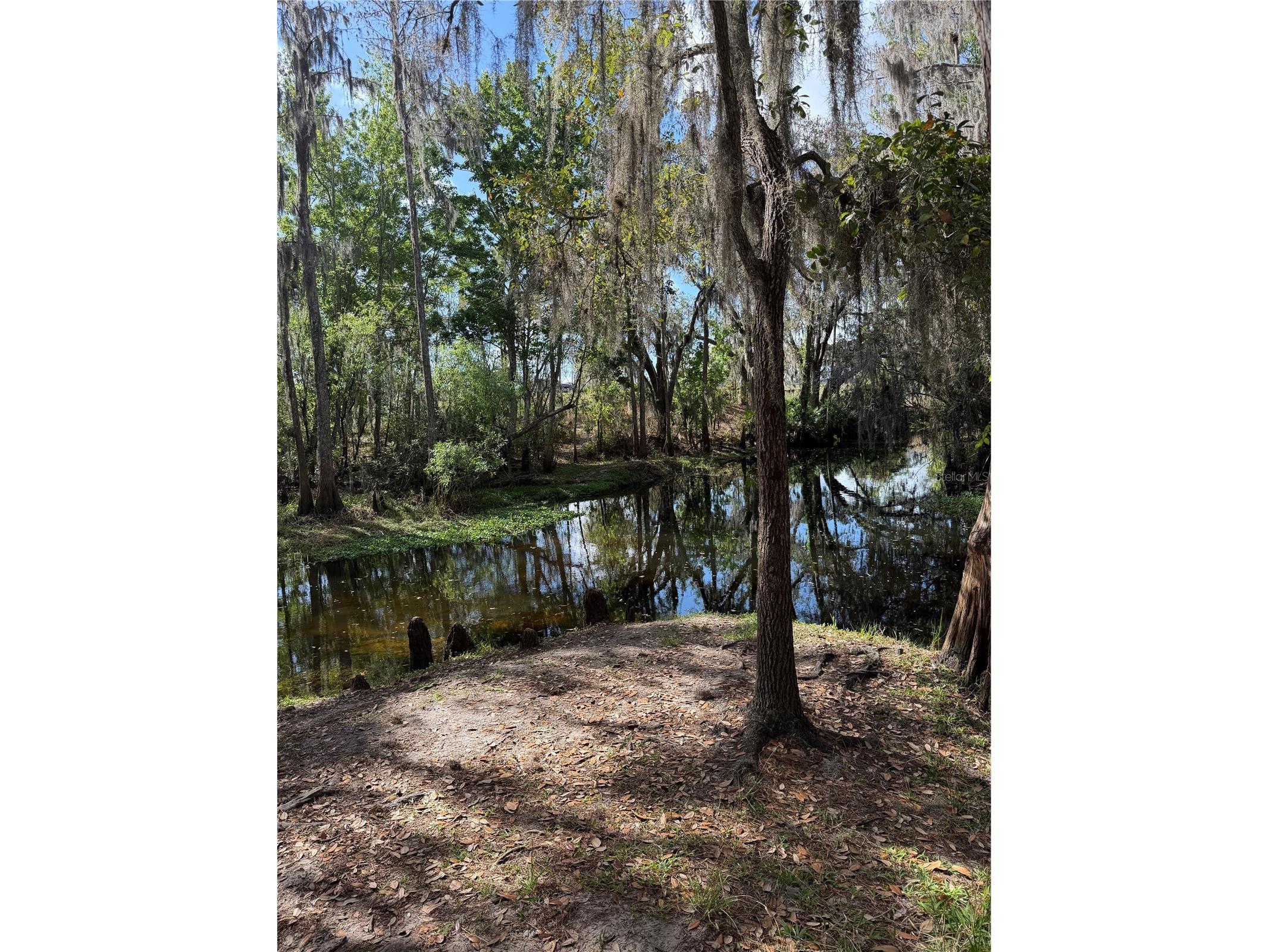 14535 Caplock Drive Orlando FL 32837 S5145327 image74