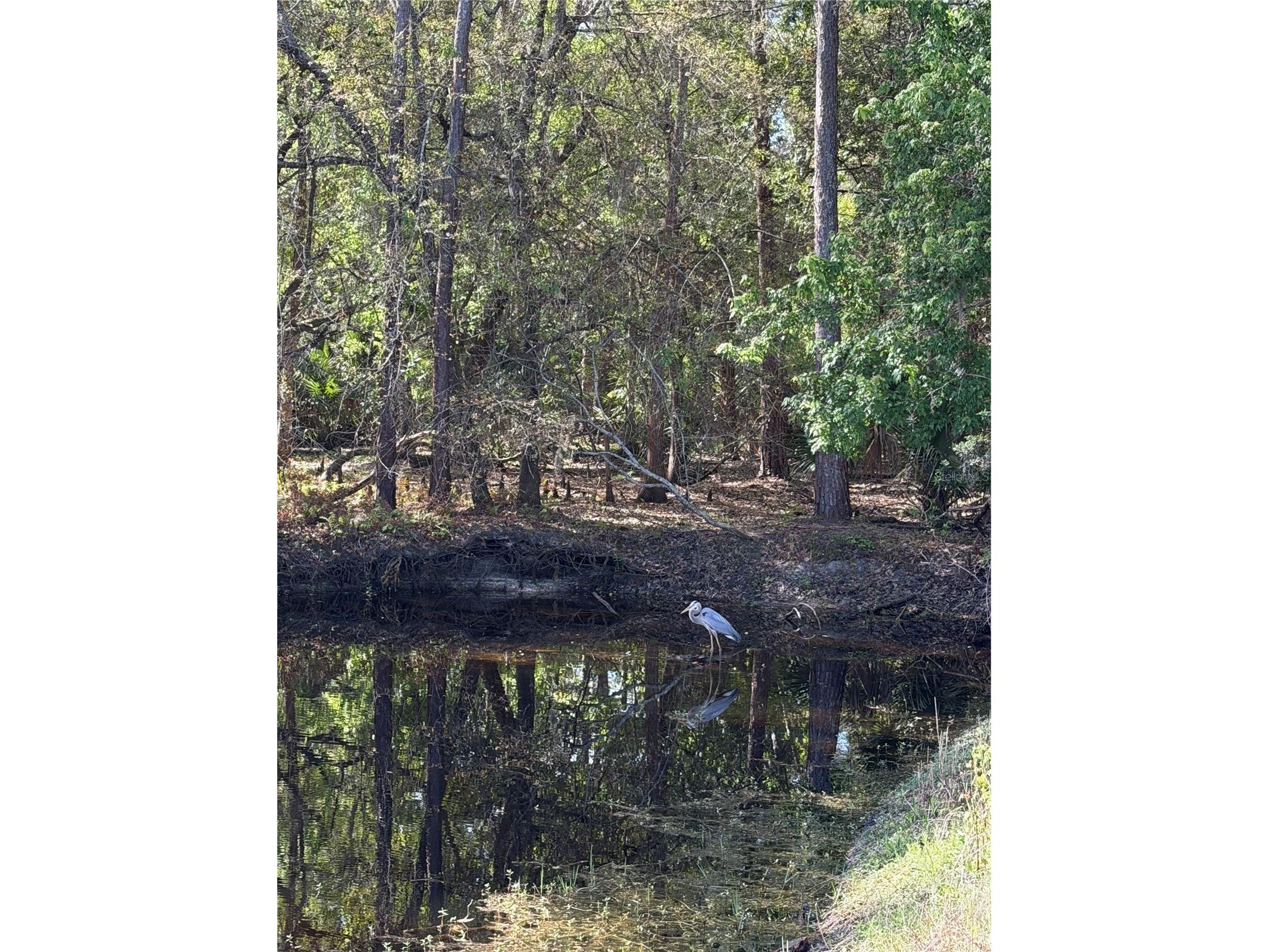 14535 Caplock Drive Orlando FL 32837 S5145327 image78
