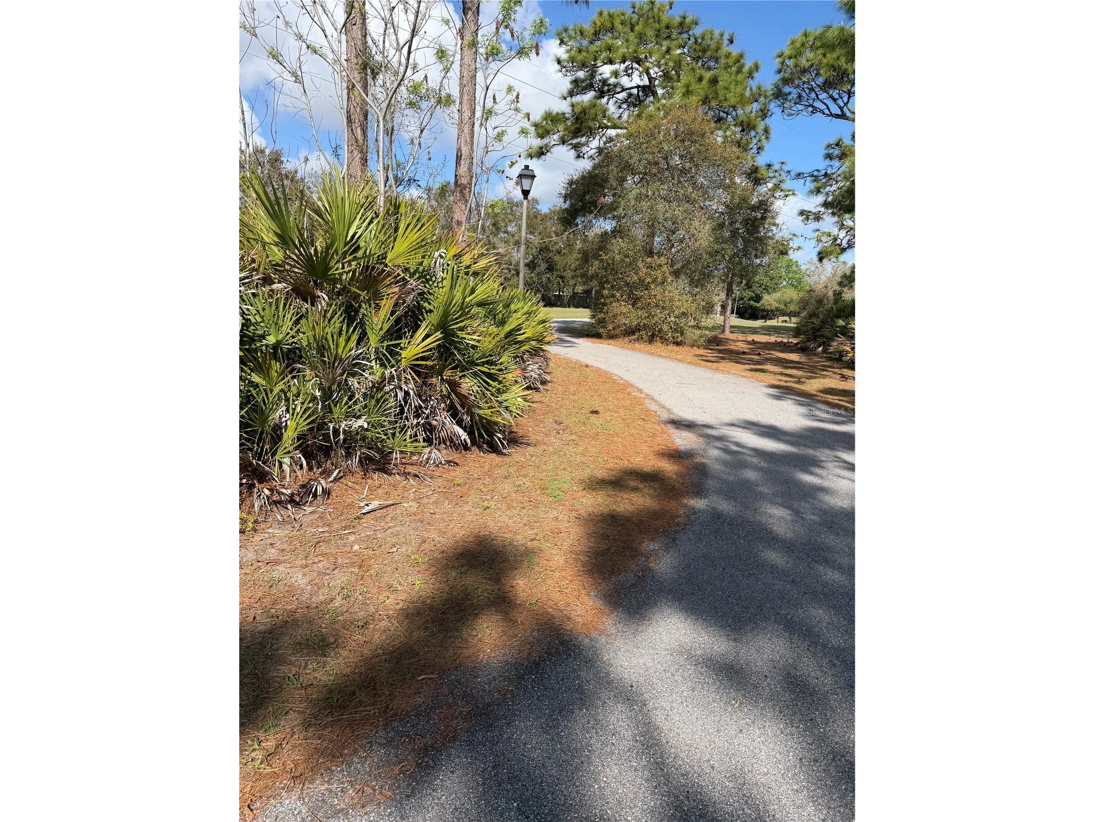 14535 Caplock Drive Orlando FL 32837 S5145327 image86