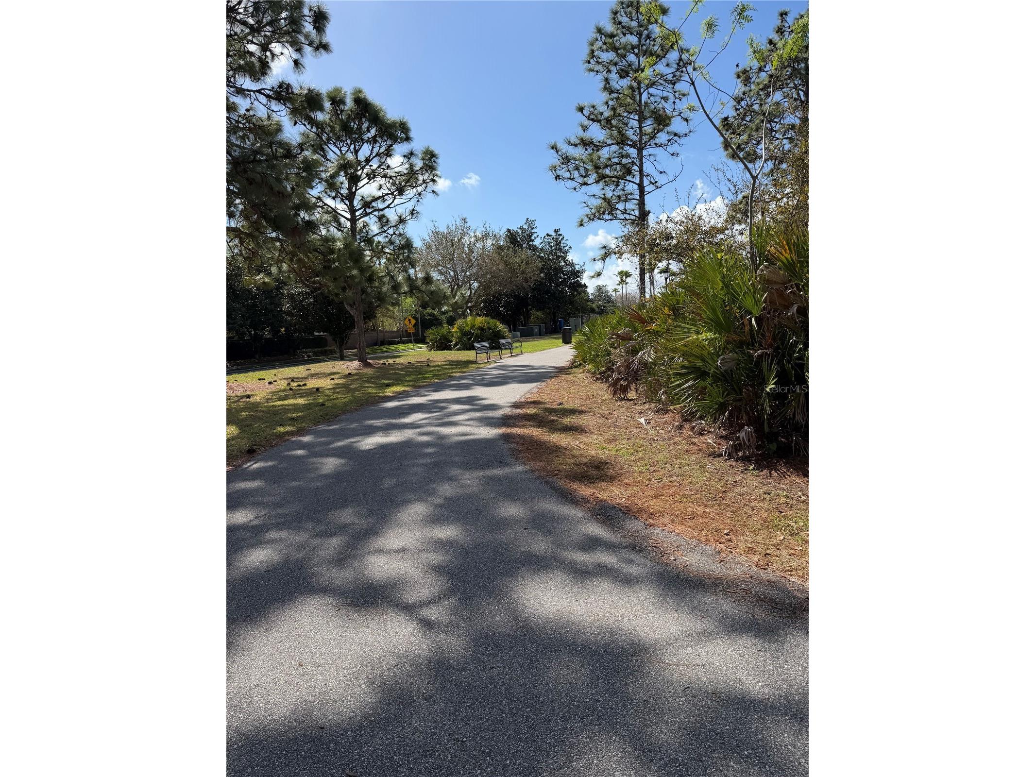 14535 Caplock Drive Orlando FL 32837 S5145327 image87