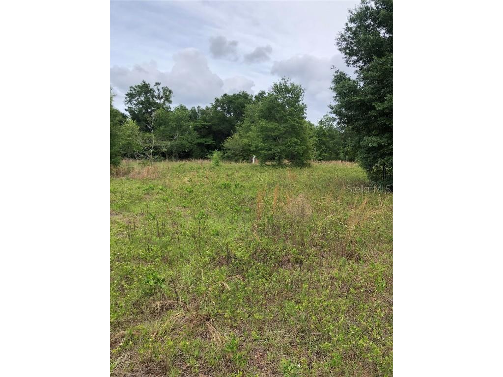 14535 SE 80th Avenue Summerfield FL 34491 G5067546 image1