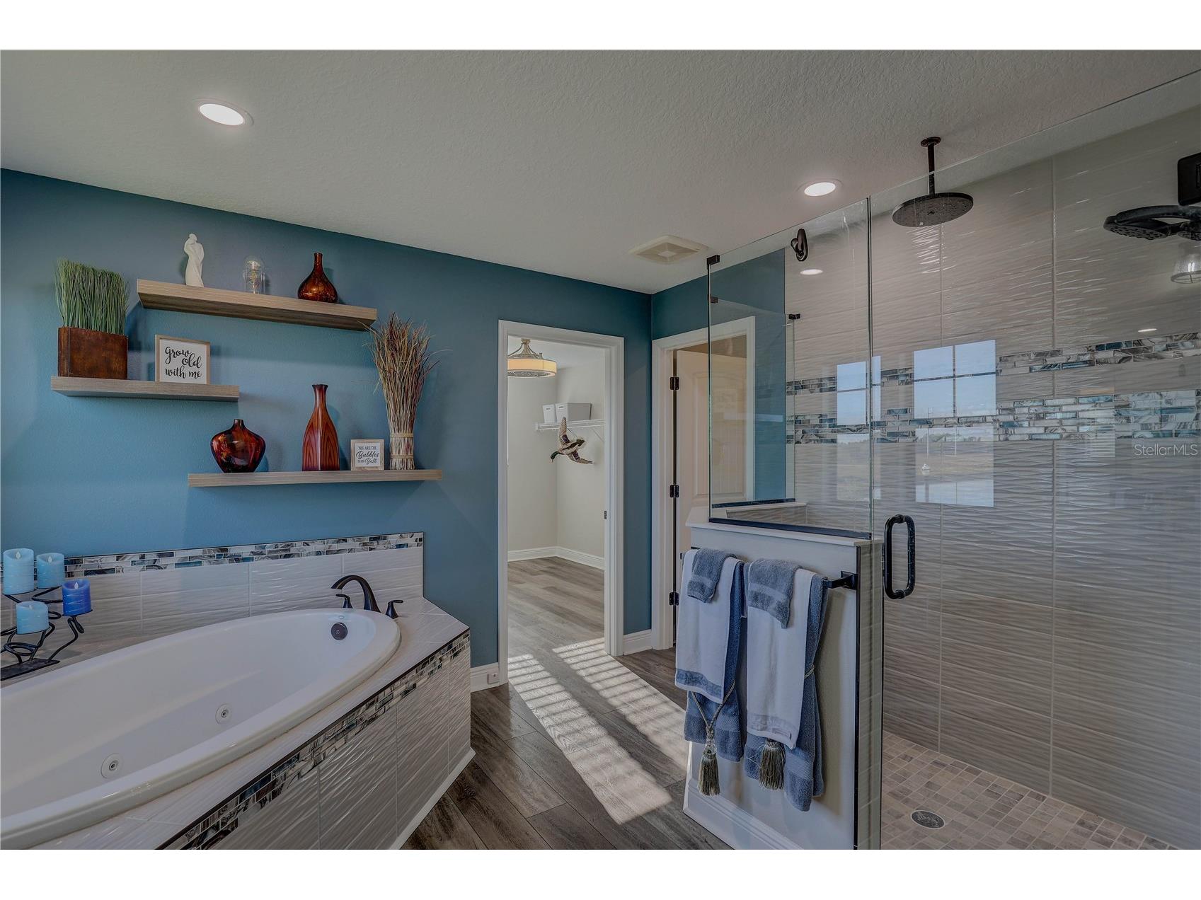 14536 Woodland Spur Drive Lithia FL 33547 TB8461497 image42